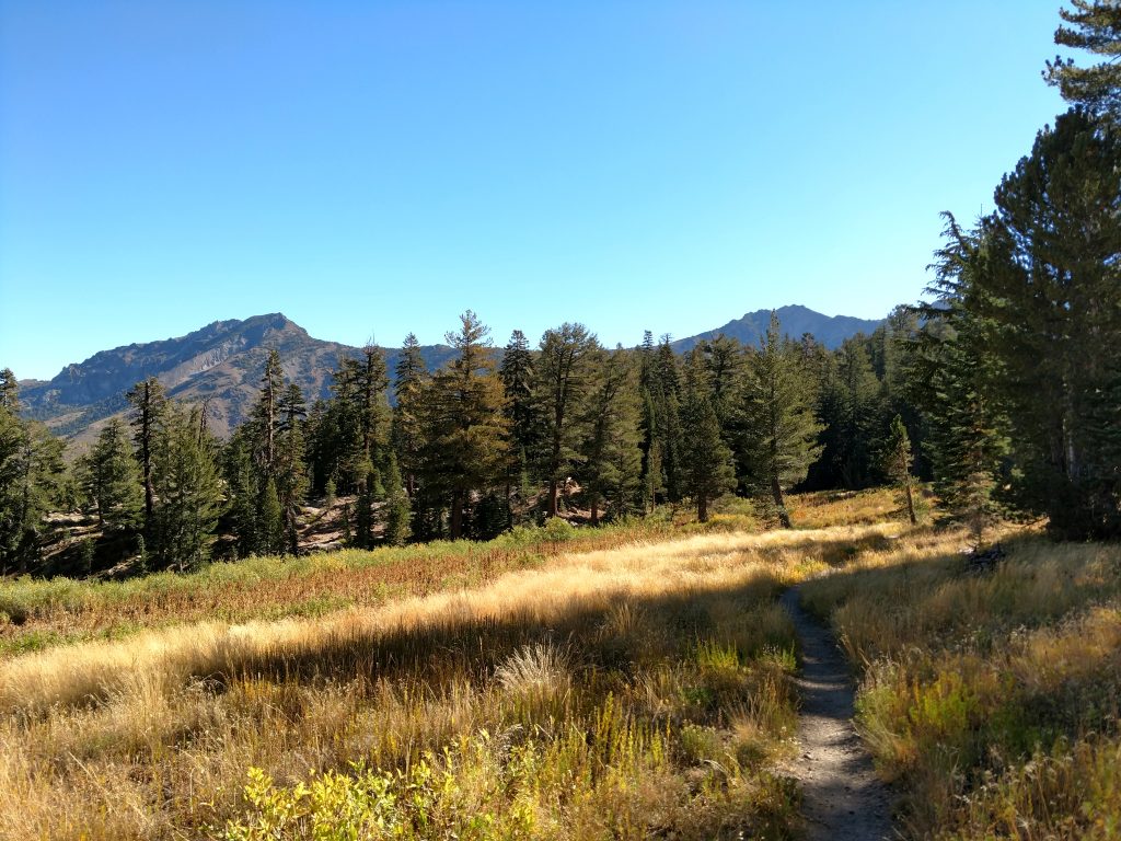 Highland Peak California