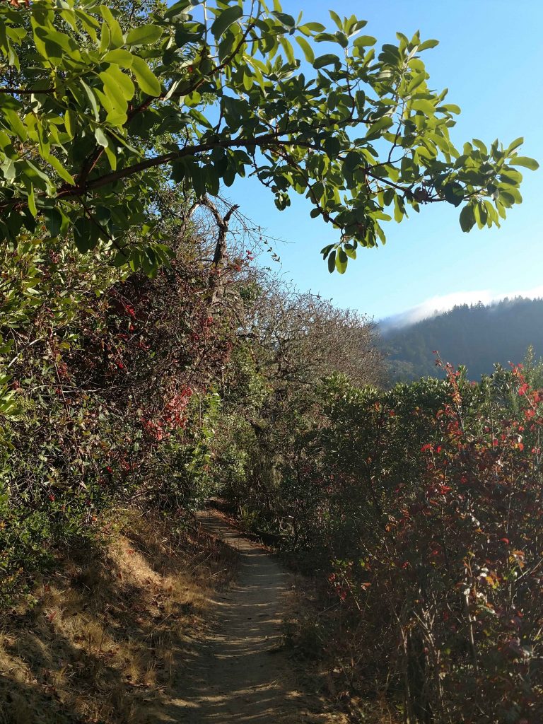 Portola Valley Trails