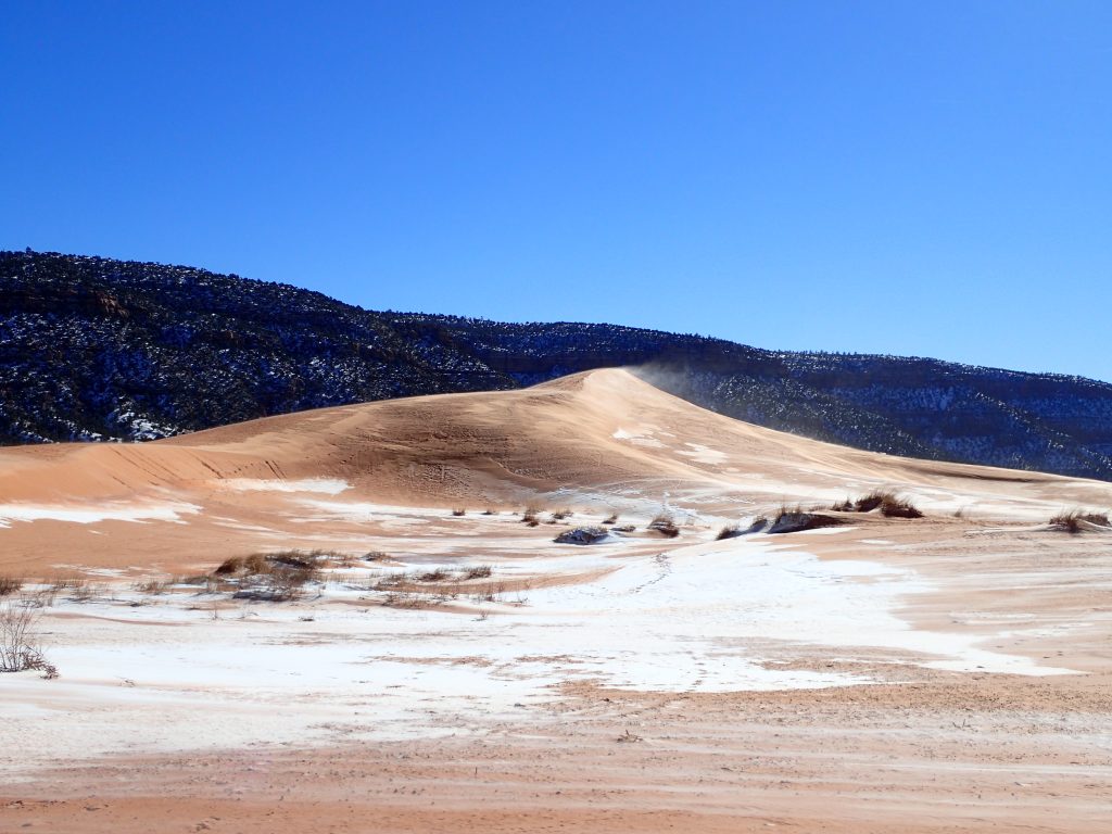 Coral Pink Sand Dunes Winter