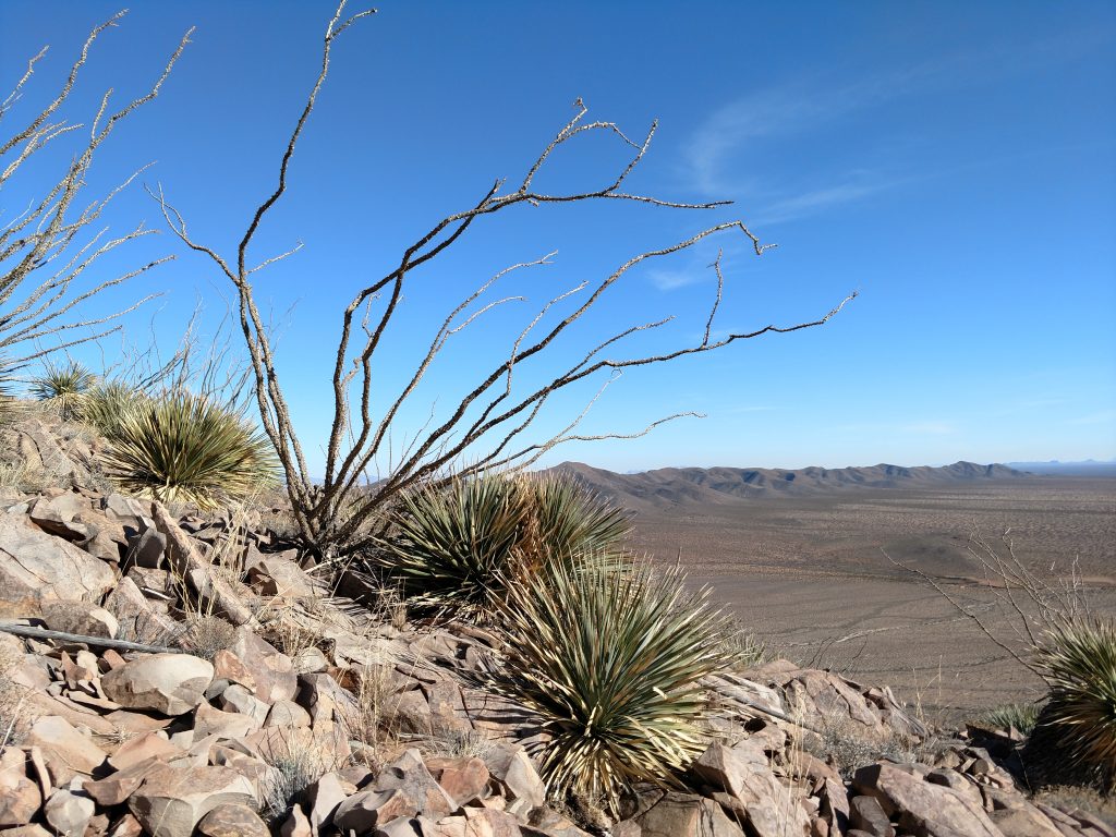 Cox Peak New Mexico