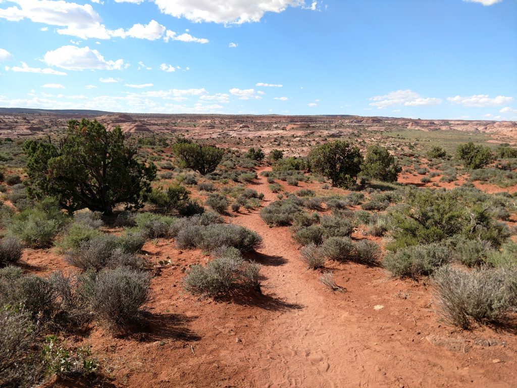 Dry Fork Trail