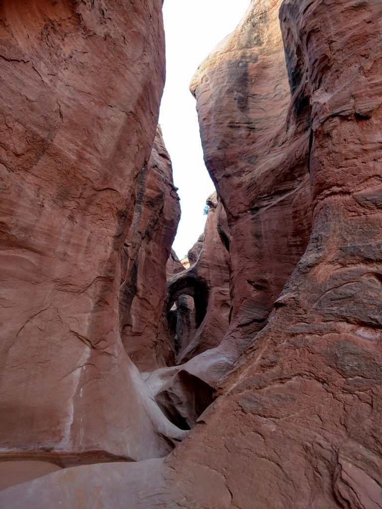 Peek-a-Boo canyon