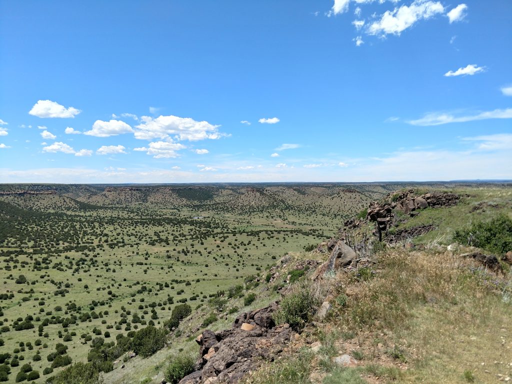 Black Mesa View