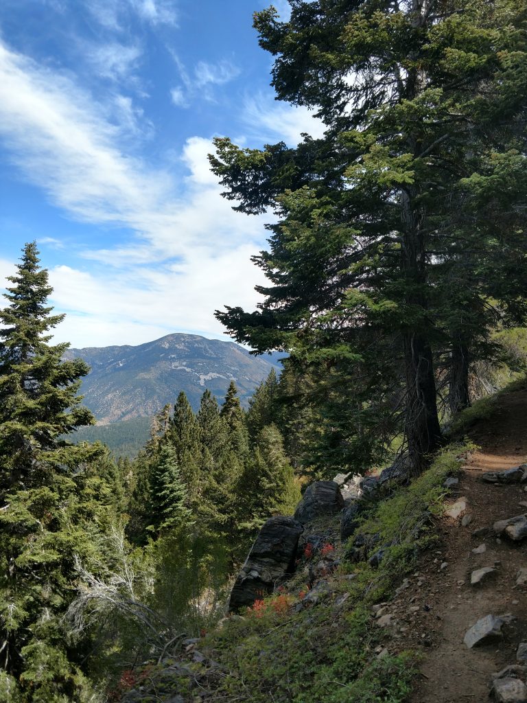 Forsee Creek Trail