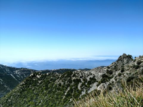 San Gabriel Peak View
