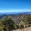 Throop Peak, Mt Hawkins and Lewis Peak Hike (San Gabriels)