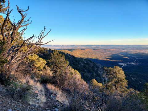 Manzano Peak Wilderness New Mexico