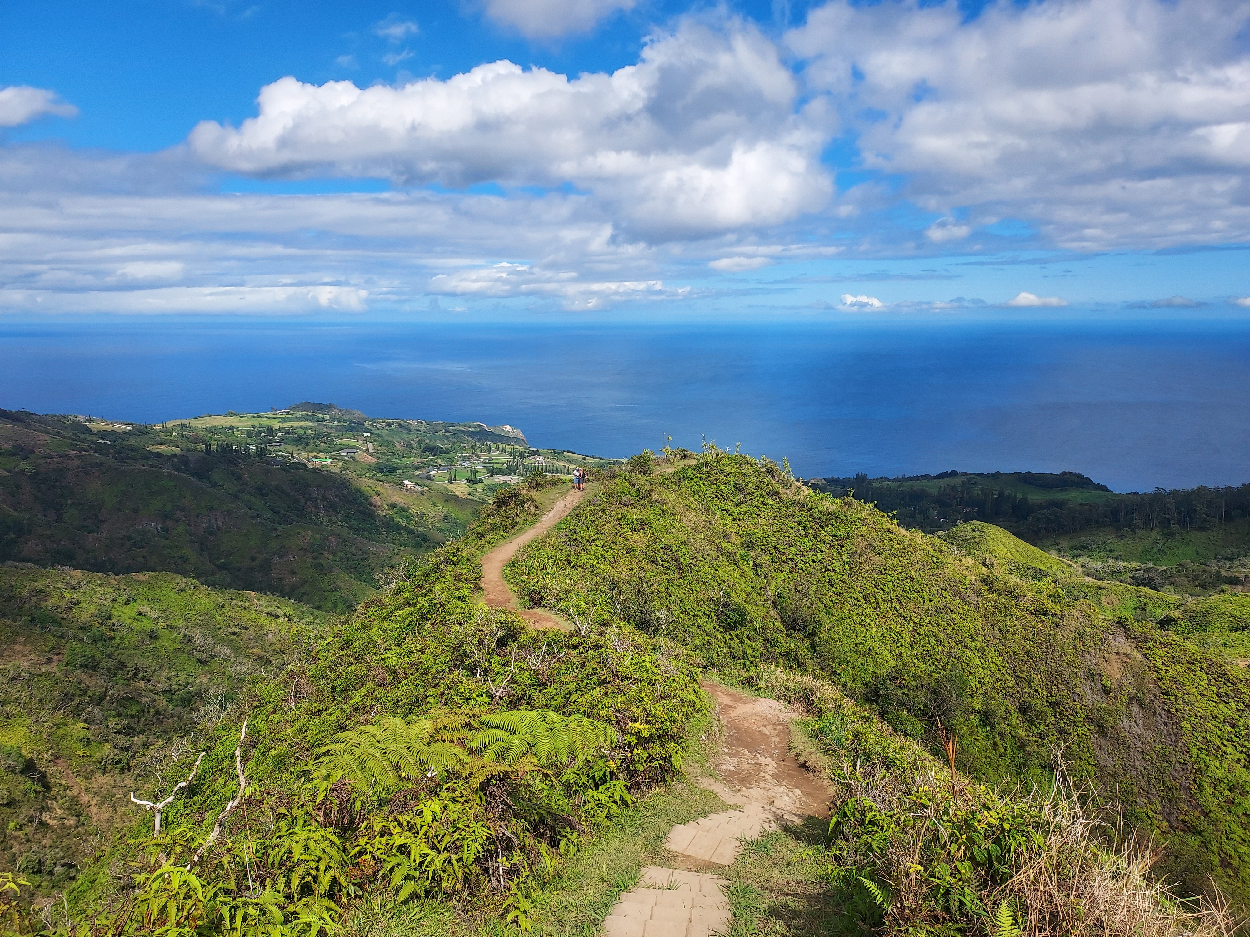 Waiheʻe Ridge Trail