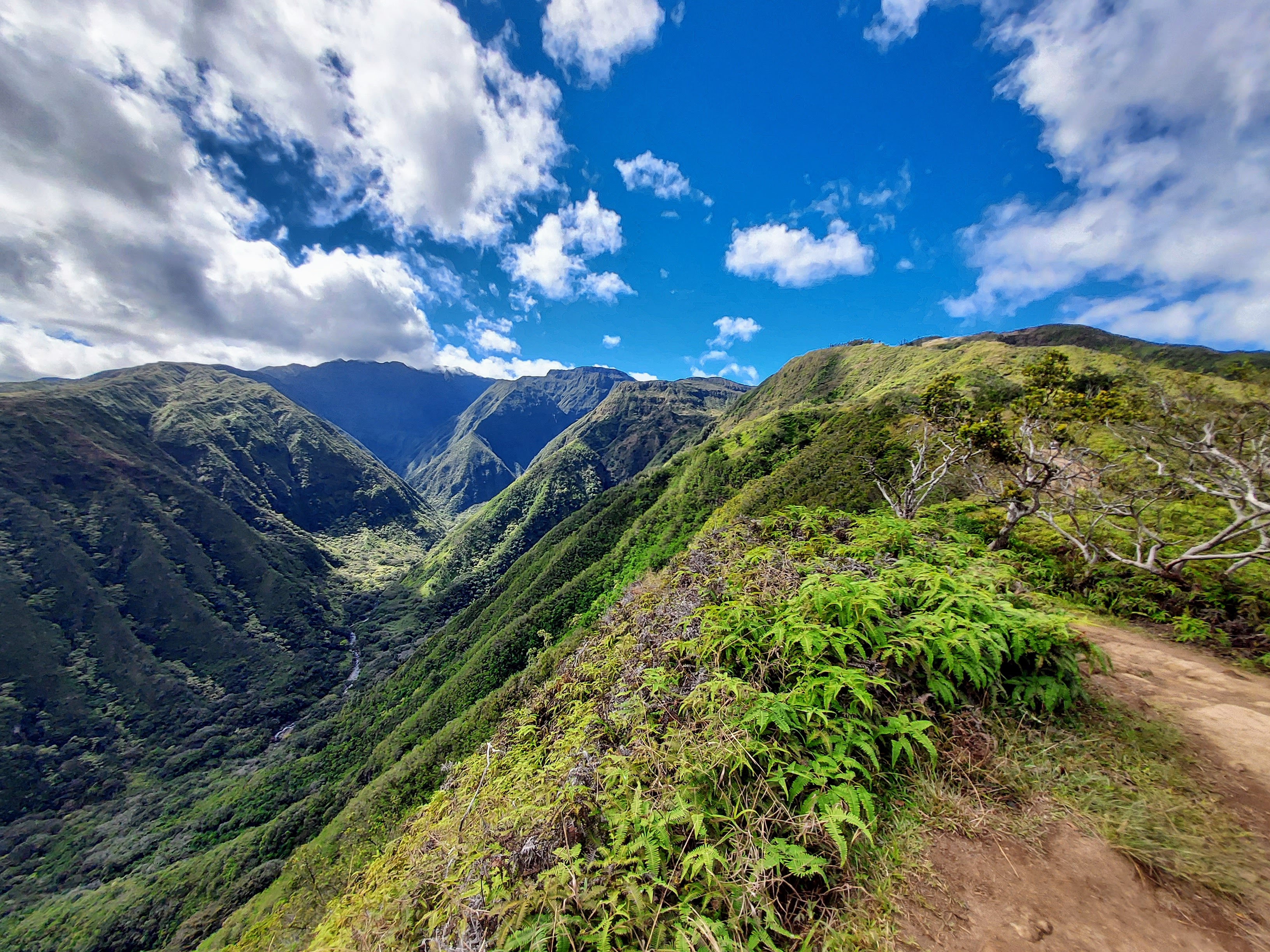 Waiheʻe Ridge Trail